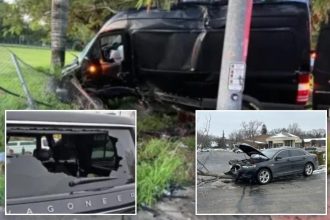 Crazed agitators attacking DHS vehicles at an alarming rate: ‘Incited violence’