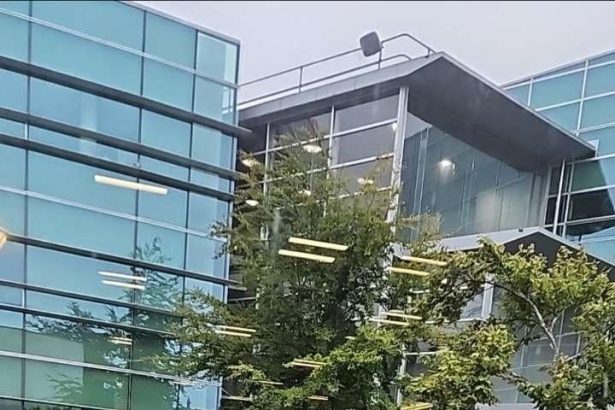 Critically hurt man still in coma after Otago University fall