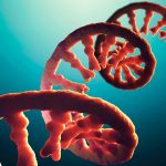 ‘Dark Matter’ in Your Genome Could Unlock New Disease Treatments : ScienceAlert