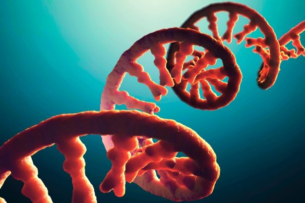 ‘Dark Matter’ in Your Genome Could Unlock New Disease Treatments : ScienceAlert