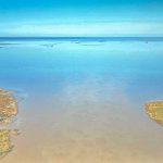 Deborah Jack’s Immersive Elegy for Water