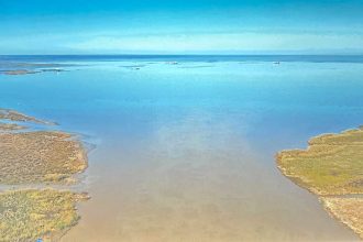 Deborah Jack’s Immersive Elegy for Water