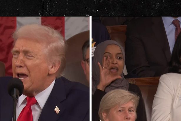 Donald Trump Calls Democrats ‘Crazy’ During State of the Union