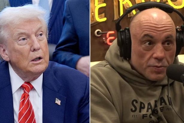 Donald Trump Insists Joe Rogan Is a ‘Great Guy’ Amid His ICE Criticism