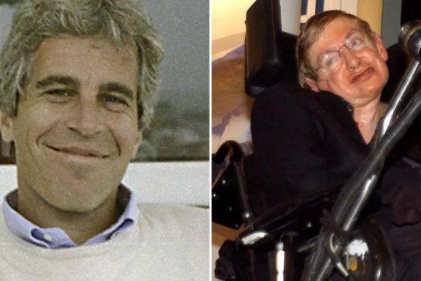 Epstein Wanted ‘Nobel Prize’ For Helping Stephen Hawking Have Sex