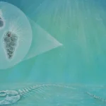 Evolution didn’t wait long after the dinosaurs died