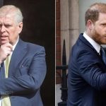 Ex-Prince Andrew Hoped to ‘Join Forces’ With Nephew Harry Before Arrest
