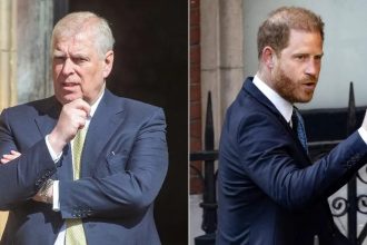 Ex-Prince Andrew Hoped to ‘Join Forces’ With Nephew Harry Before Arrest