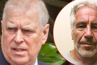 Ex Prince Andrew arrested over Epstein bombshells