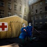 Fascinating but flawed book explores how sickness shapes our lives