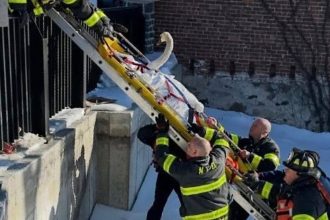 Firefighters Rescue Swan Stuck In Frozen River In Norwalk, Connecticut River