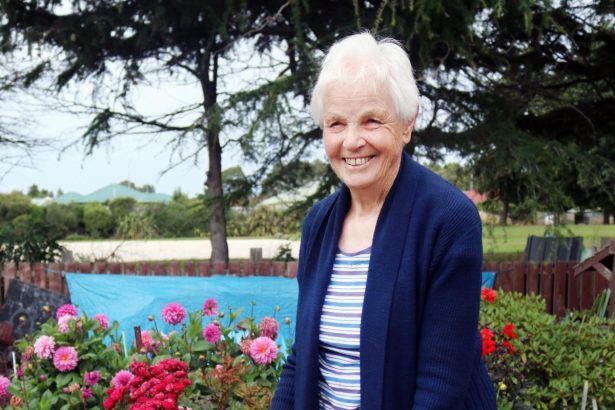 Flower show to display colour, creativeness