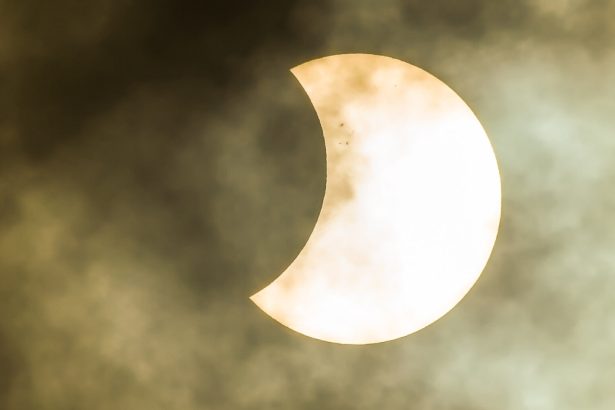 Forest’s Strange Response to an Eclipse May Have a More Mundane Explanation : ScienceAlert