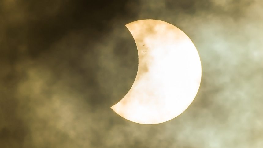 Forest’s Strange Response to an Eclipse May Have a More Mundane Explanation : ScienceAlert