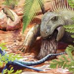 Fossilized vomit reveals 290-million-year-old predator’s diet