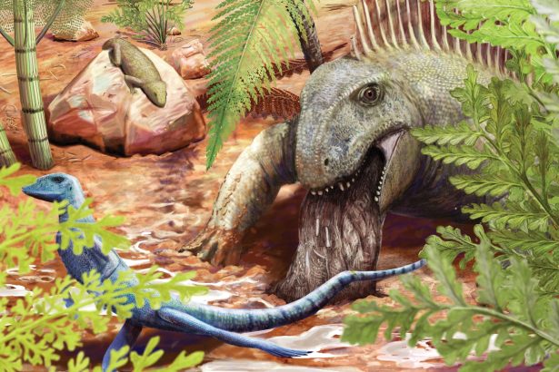 Fossilized vomit reveals 290-million-year-old predator’s diet