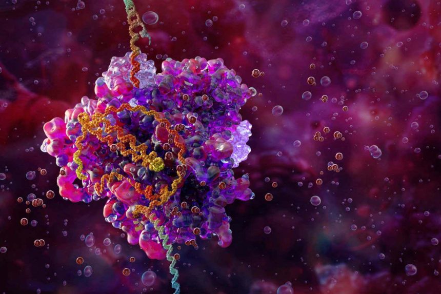 Gene editing that spreads within the body could cure more diseases