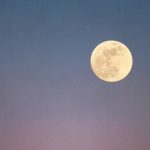 How to Use February’s Full Moon Astrology To Embrace Your Power