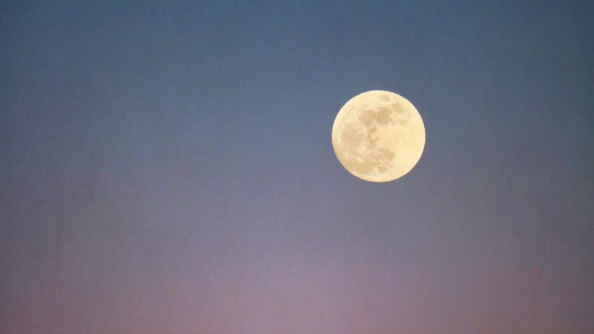 How to Use February’s Full Moon Astrology To Embrace Your Power