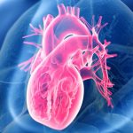 Giant Study Reveals The Secret to Heart Health, And It’s Not Low-Carb or Low-Fat : ScienceAlert