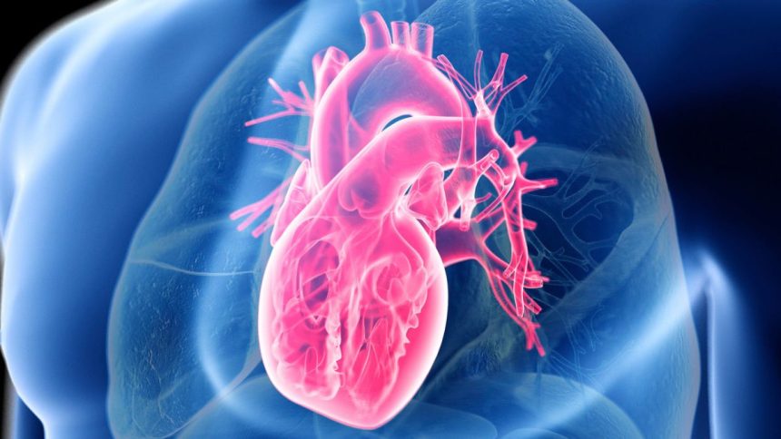 Giant Study Reveals The Secret to Heart Health, And It’s Not Low-Carb or Low-Fat : ScienceAlert