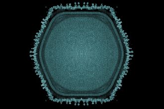 Giant Virus Discovered in Japanese Pond May Hint at Multicellular Life’s Origins : ScienceAlert