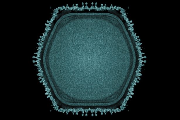 Giant Virus Discovered in Japanese Pond May Hint at Multicellular Life’s Origins : ScienceAlert