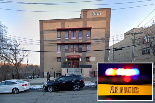 Goon busted after NYC man found bashed to death in apartment: cops