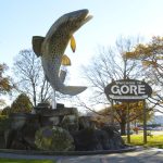 Gore seeks name for brown trout statue