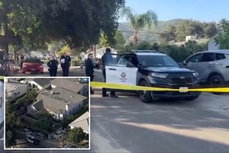 Grandfather, 10-year-old granddaughter stabbed while heading to school in LA