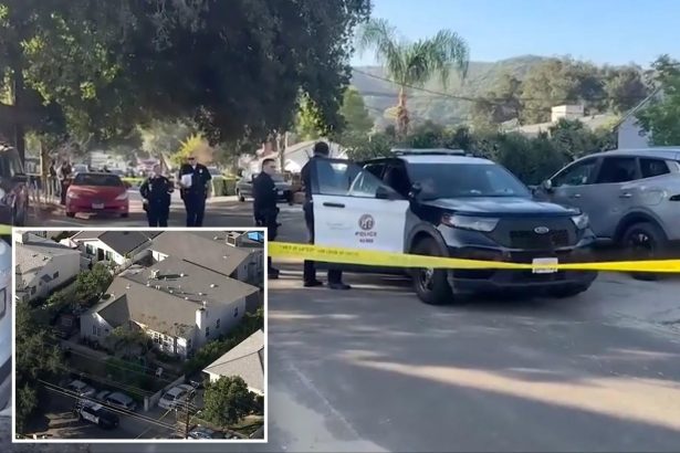 Grandfather, 10-year-old granddaughter stabbed while heading to school in LA