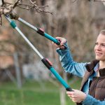 Guest Idea: Late Winter Pruning Optimizes Tree Health for Backyard Carbon Sequestration