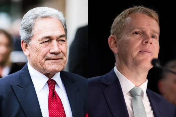 Hipkins accuses Peters of ‘pure racism’, slams ‘ugly side’ of politics
