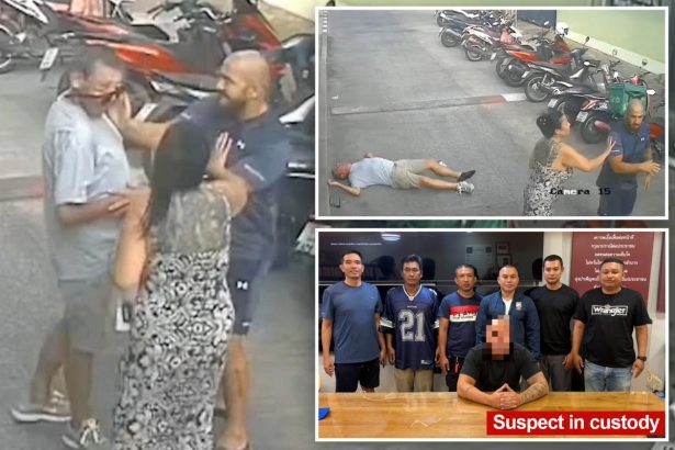 Horrific video shows the moment suspected gangster kills tourist with single karate chop