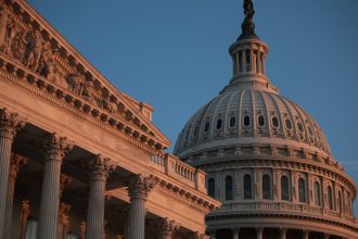 How America’s most partisan voters hold the most voting power : NPR