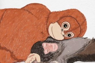 How Punch the Monkey Captured the Hearts of Artists