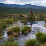 How a greening Arctic might be kick-starting a dangerous feedback loop 