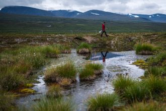How a greening Arctic might be kick-starting a dangerous feedback loop 