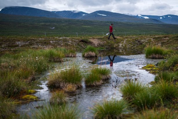 How a greening Arctic might be kick-starting a dangerous feedback loop 