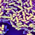 How baby microbiomes in the West differ from those everywhere else