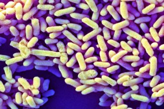 How baby microbiomes in the West differ from those everywhere else