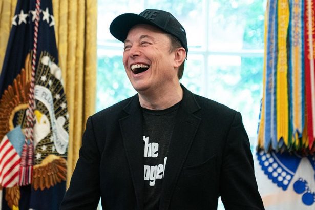 How billionaires like Elon Musk avoid taxes on their massive wealth