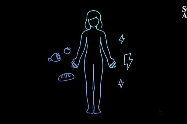 How does type 1 diabetes actually work?