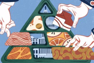 How the new food pyramid could impact school lunch and more : NPR