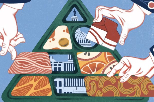 How the new food pyramid could impact school lunch and more : NPR