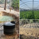 Illegal cannabis farms poison California’s forests