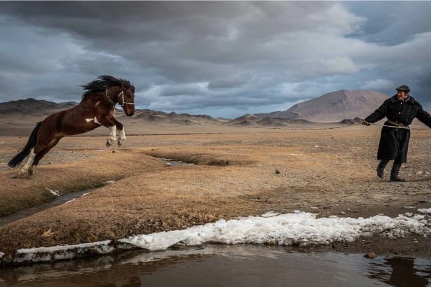 In ‘Altai,’ Photographer Claire Thomas Chronicles a Time-Honored Way of Life in Mongolia — Colossal