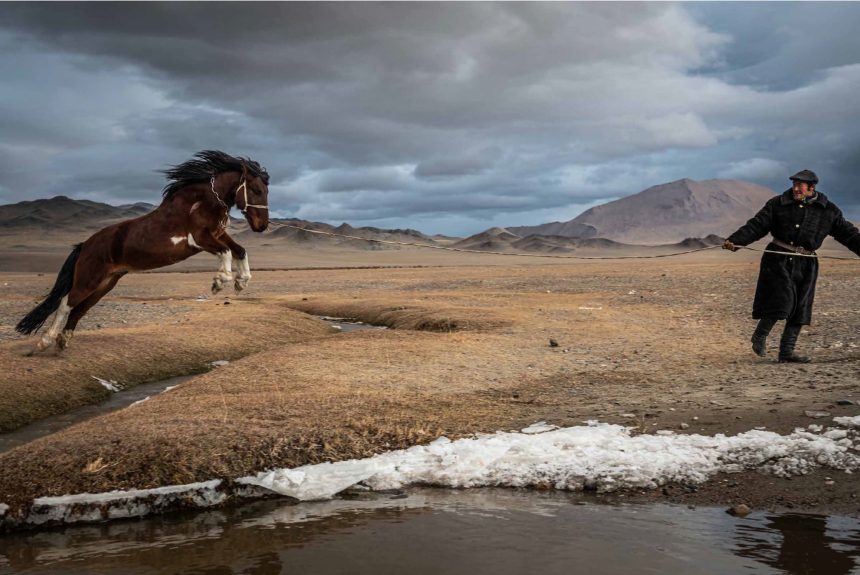 In ‘Altai,’ Photographer Claire Thomas Chronicles a Time-Honored Way of Life in Mongolia — Colossal