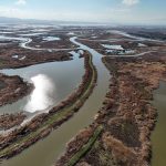 Inside the polarizing plan to stash carbon in a California wetland