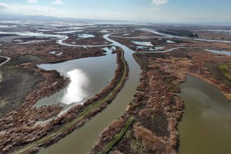 Inside the polarizing plan to stash carbon in a California wetland